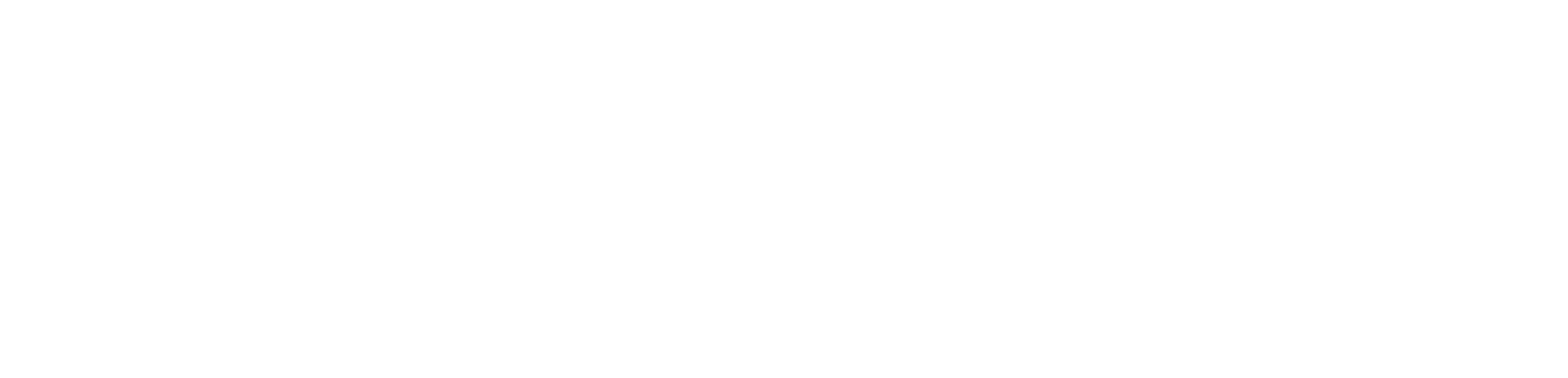 InSight